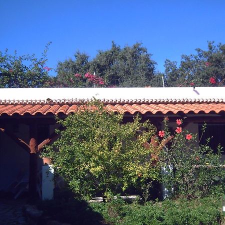 Finca El Abuelo Barbate Bagian luar foto