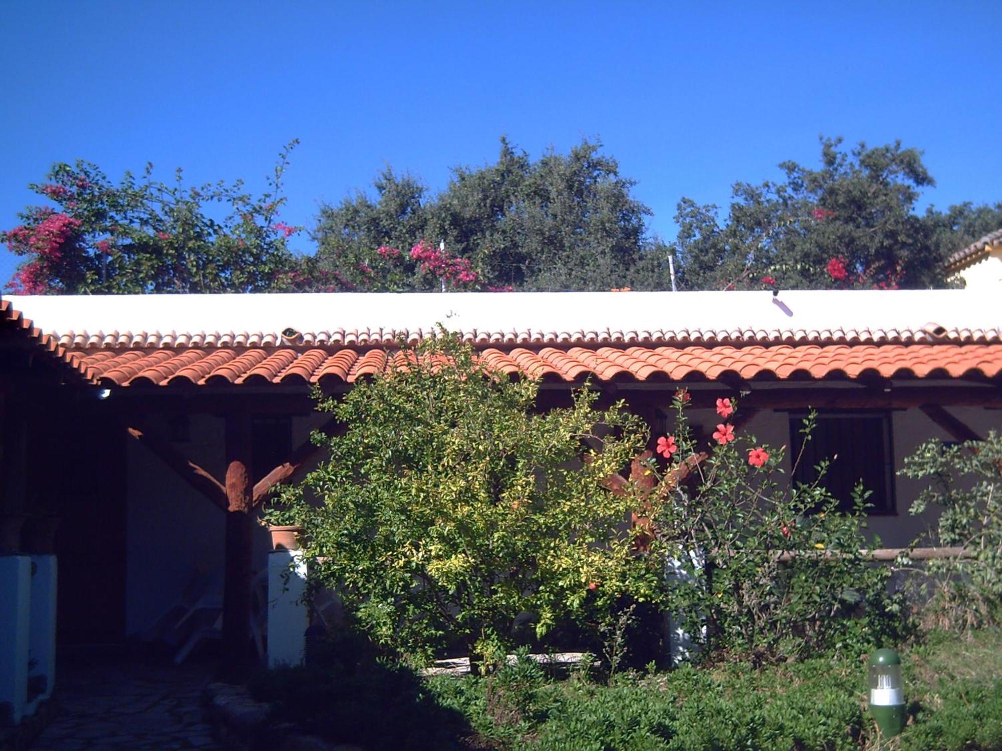 Finca El Abuelo Barbate Bagian luar foto
